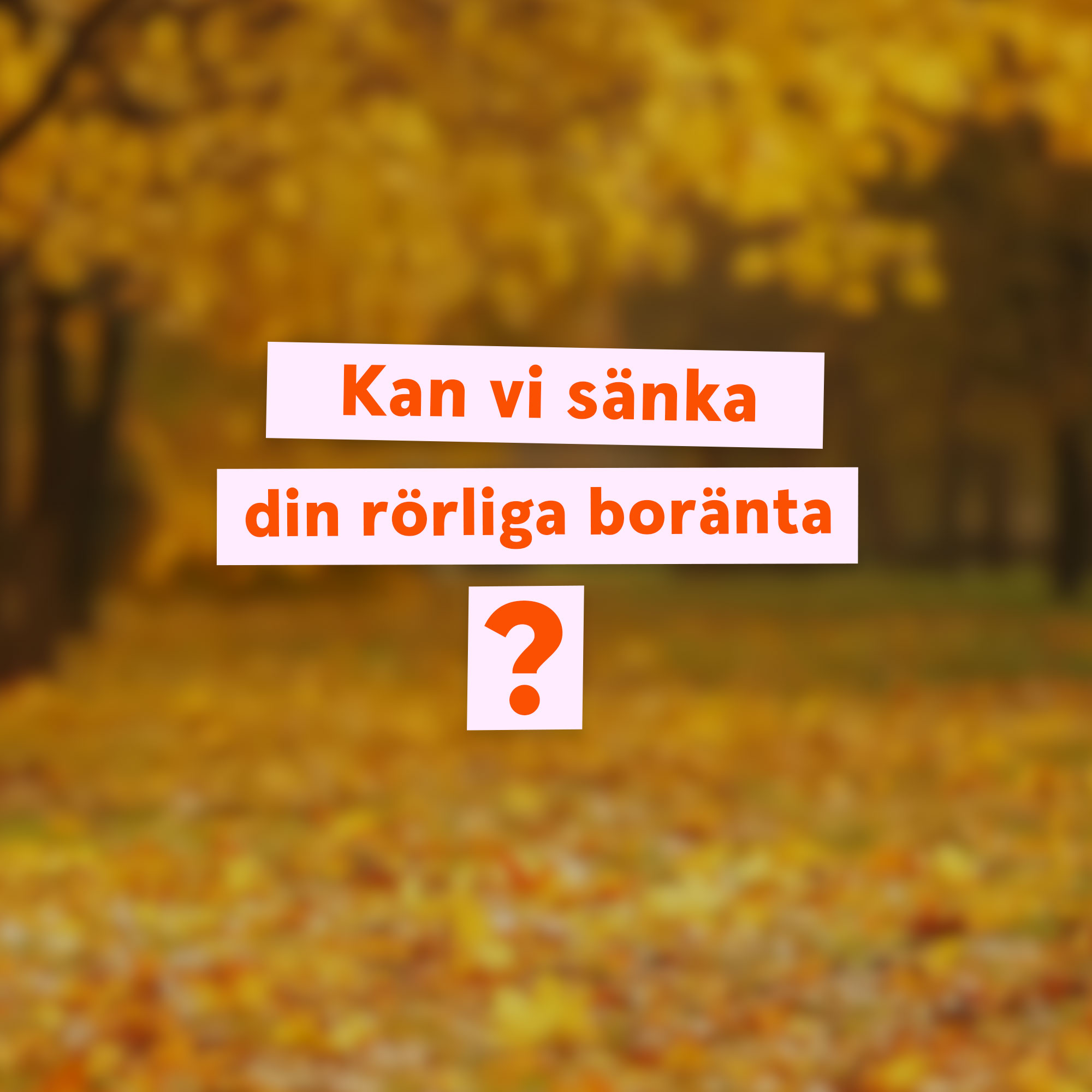 Höstlövsbakgrund med rosa plattor - text Kan vi sänka din rörliga boränta